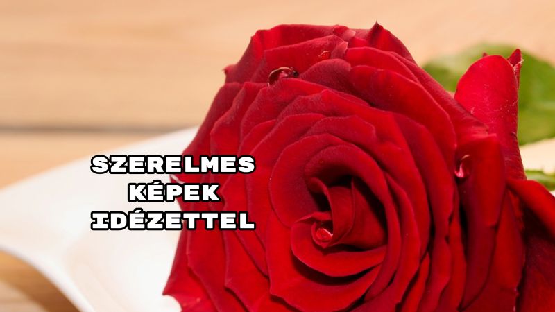 Szerelmes képek idézettel